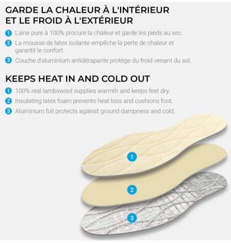 Vega Polaris - Aucune - SEM POLARIS